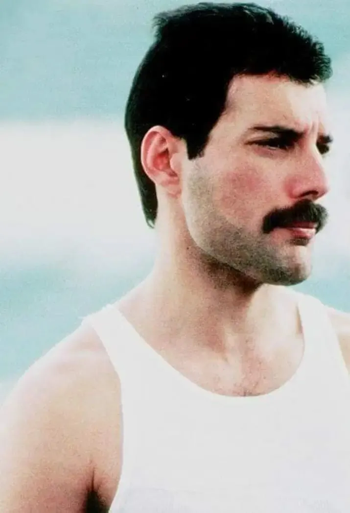 423c3167-8f3e-4224-b230-8fbff54e2d2f